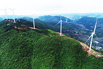 贵州省纳雍县骔岭冬风电场设计采购施工EPC总承包项目
